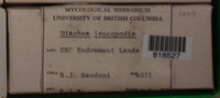 Image Associated With the Occurence